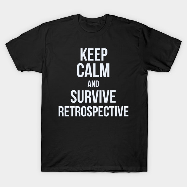 Developer Keep Calm and Survive Retrospective T-Shirt by thedevtee